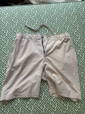 Chubbies medium shorts stain